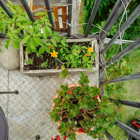 Artistic Loft In The Old Town *